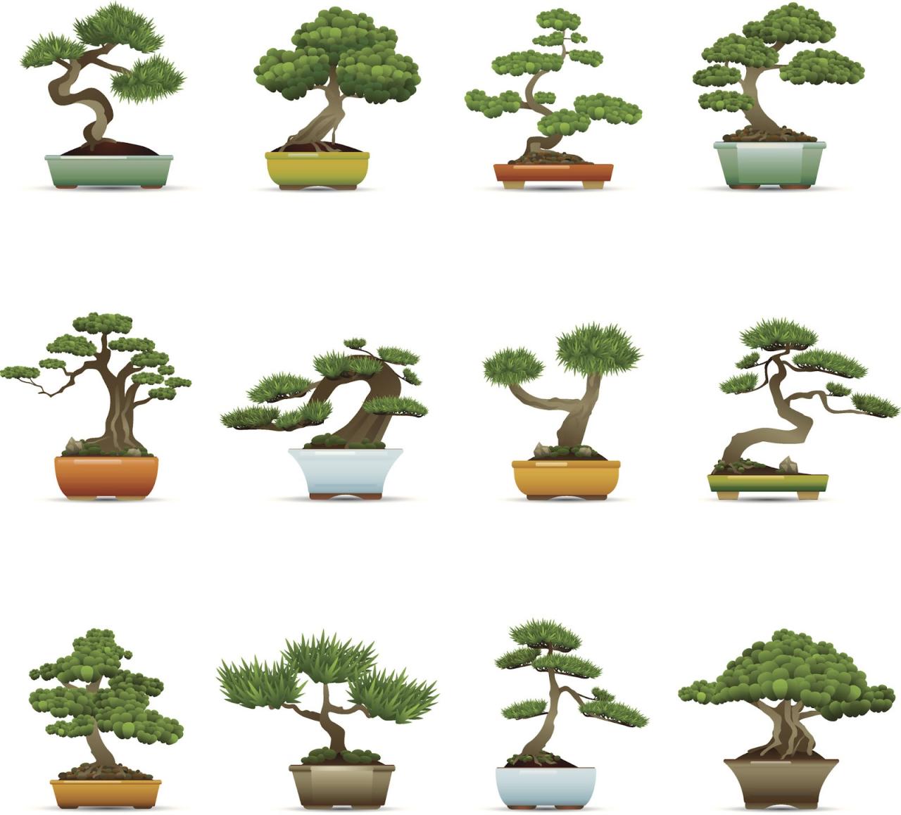 A Beginner’s Guide to Choosing the Right Bonsai Pot