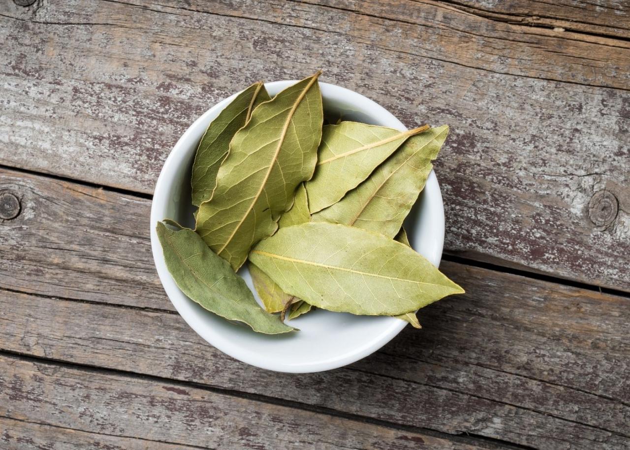 The Best Substitutes for Bay Leaves That Will Elevate Your Dish