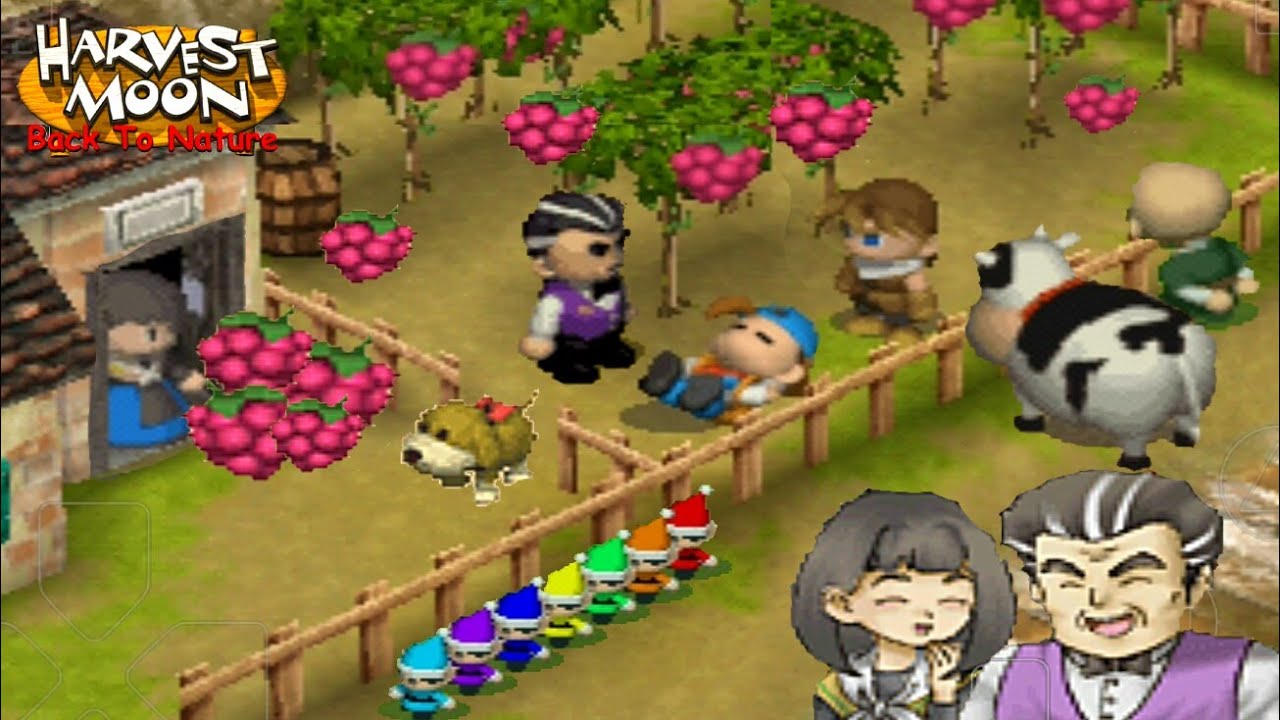 Harvest Moon Orchard: A Guide to Seasonal Fruits and Fun