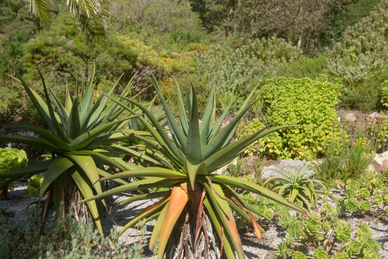 The Secret to Planting Spiky Seeds Without Getting Hurt