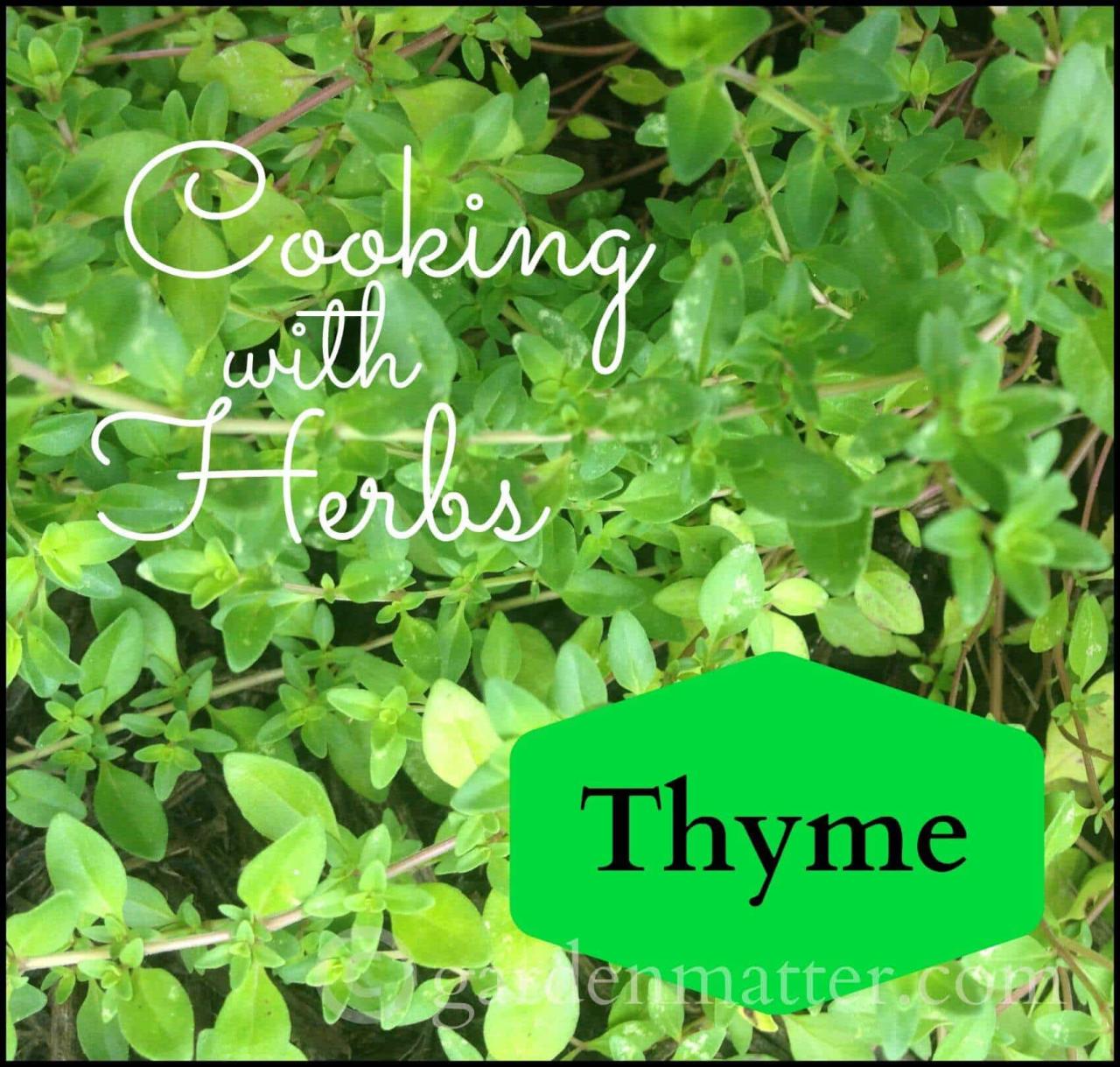 The Benefits of Cooking with Thyme Piece for Your Health